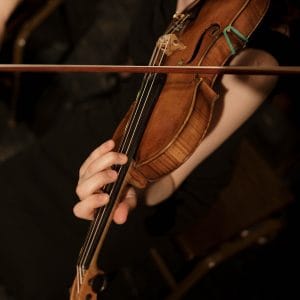 Violin