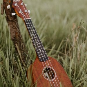ukulele leaning on a tree