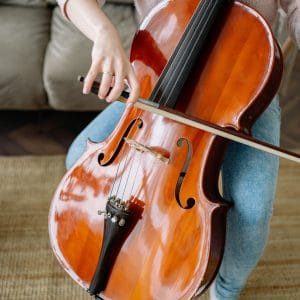 Viola