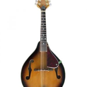 Maxwell F Hole Mandolin